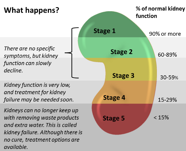 kidney failure treatment options cu copii antihelmintici